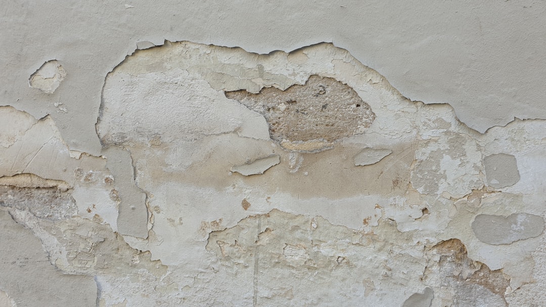 Stinkt je muur? Dan groeit er misschien zwam achter het stucwerk