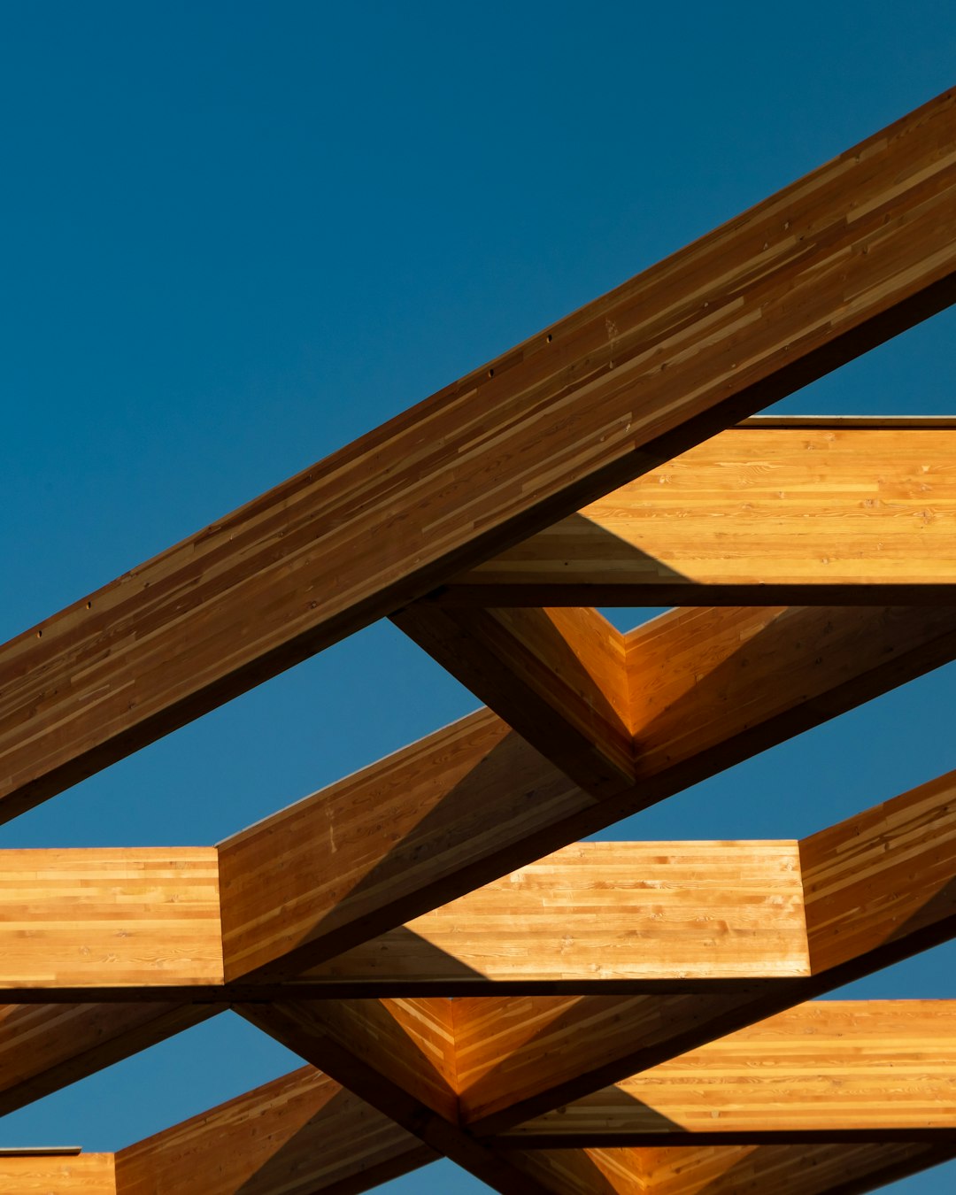 Houten draagbalken aangetast door zwam – wat nu?