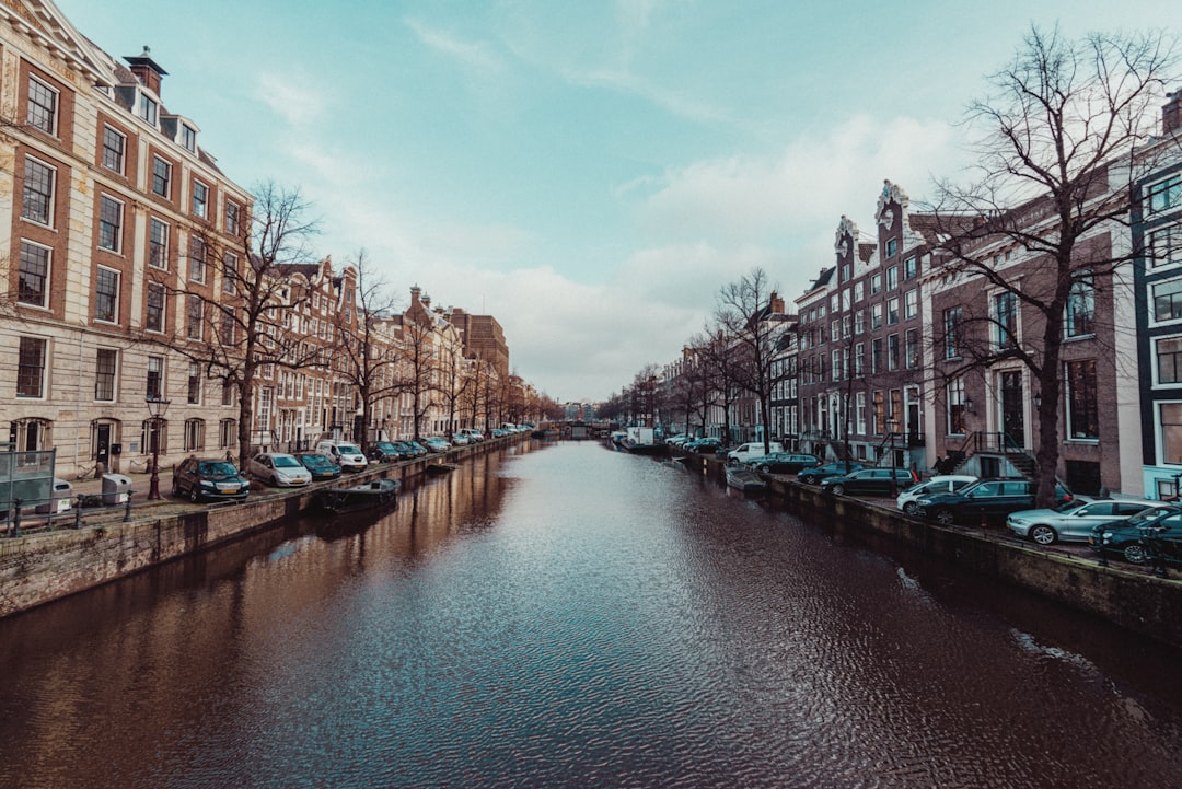 Zwam in een monumentaal pand? Zo ga je verantwoord te werk